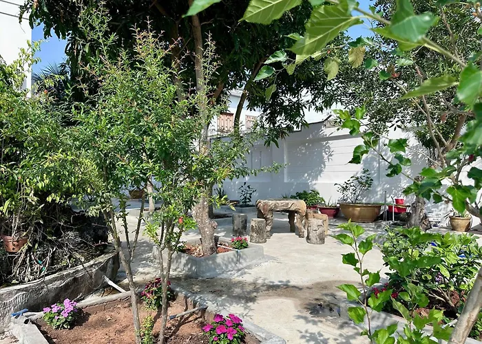 Garden *